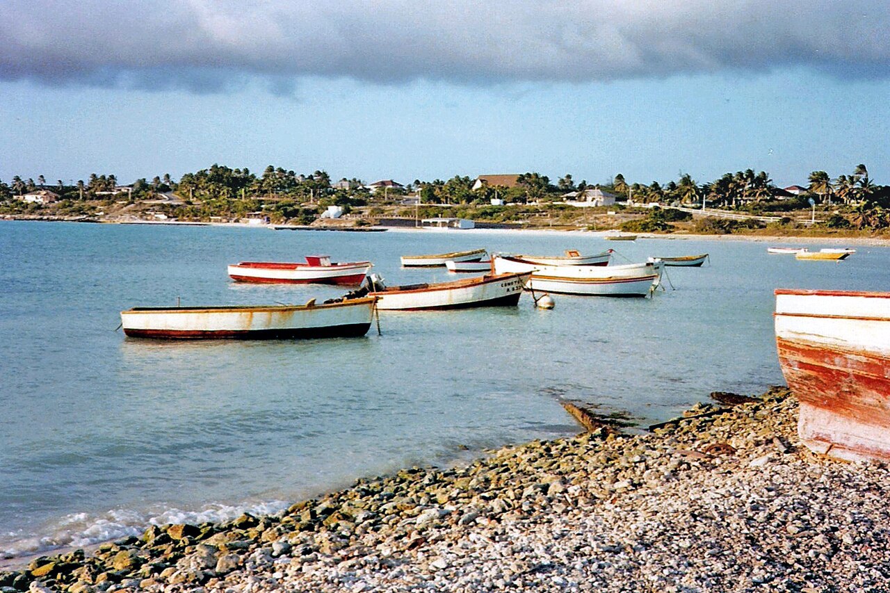 rumreef